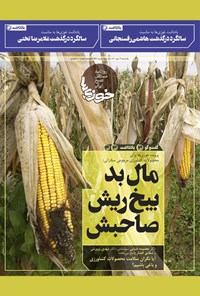 تصویر جلد کتاب روزنامه سراسری خوزی‌ها ـ شماره ۲۸۲ ـ یک‌شنبه ۱۹ دی‌ماه ۱۴۰۰