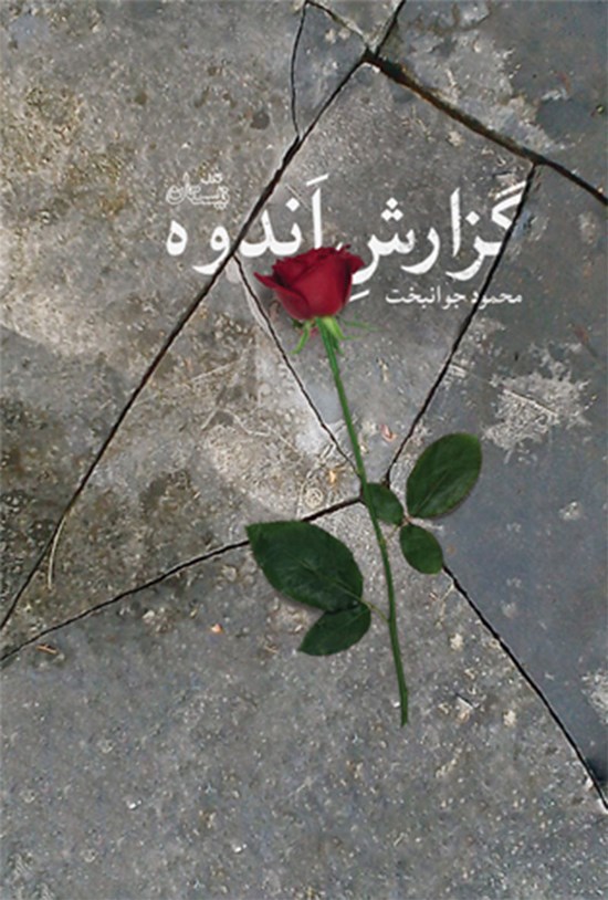 تصویر جلد کتاب گزارش اندوه