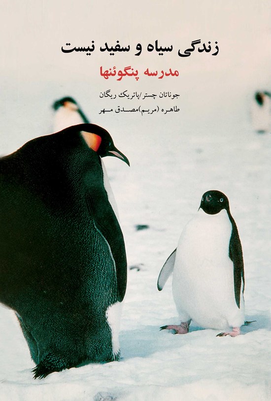 تصویر جلد کتاب زندگی سیاه و سفید نیست، مدرسه پنگوئنها