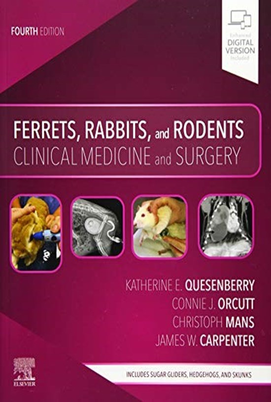 تصویر جلد کتاب Ferrets, Rabbits, and Rodents: Clinical Medicine and Surgery, 4e 4th Edition پزشکی و جراحی بالینی موشها، خرگوشها و جوندگان ویرایش چهارم (زبان اصلی)