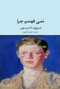 کتاب نمی‌فهمم چرا اثر شروود  اندرسن