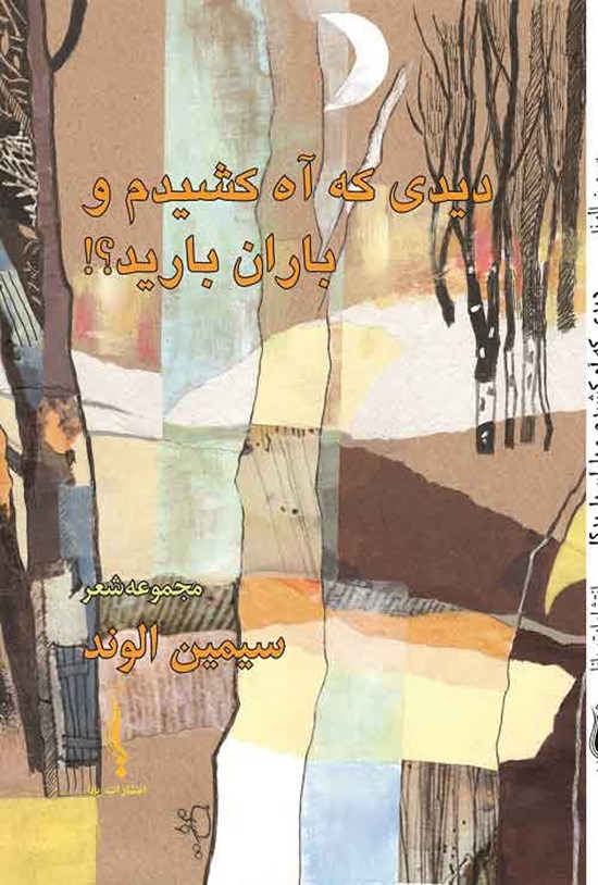 تصویر جلد کتاب دید که آه کشیدم و باران بارید؟!