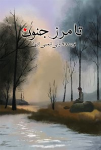 کتاب تا مرز جنون اثر ولی شمسی (تنها)