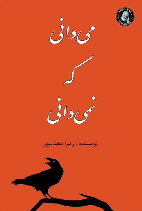 تصویر جلد کتاب می دانی که نمی دانی