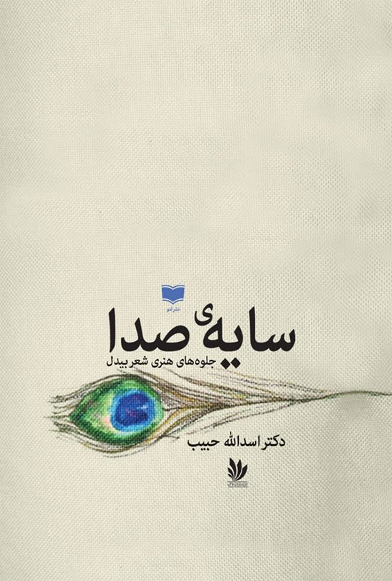 تصویر جلد کتاب سایه صدا