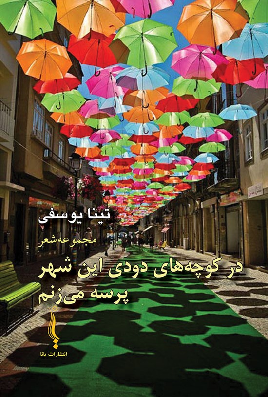 تصویر جلد کتاب در کوچههای دودی این شهر پرسه میزنم