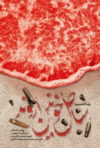 تصویر جلد کتاب ساحل خونین اروند
