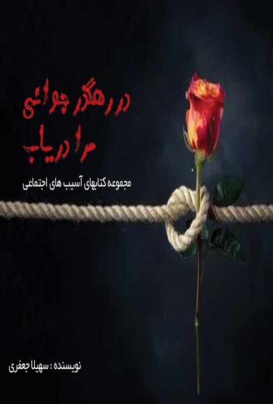 تصویر جلد کتاب در رهگذر جوانی مرا دریاب