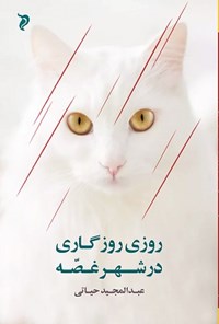 تصویر جلد کتاب روزی روزگاری در شهر غصه