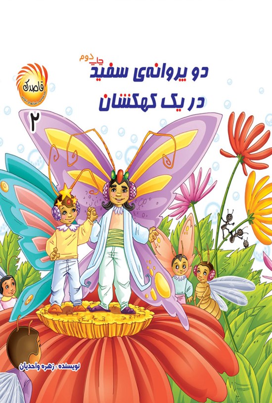 تصویر جلد کتاب دو پروانه سفید در یک کهکشان