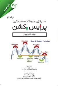 تصویر جلد کتاب استراتژی ها و نکات معامله گری پرایس اکشن (جلد سوم)