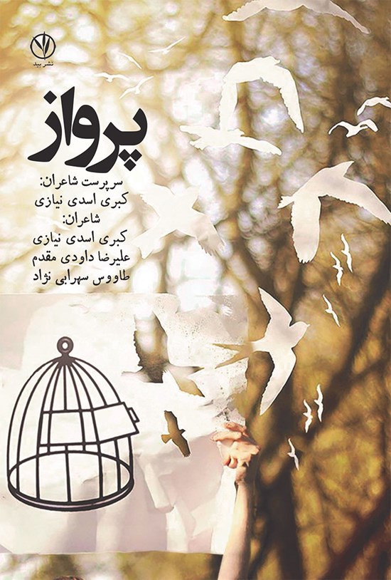 تصویر جلد کتاب پرواز