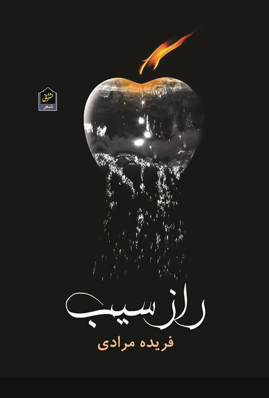 تصویر جلد کتاب راز سیب
