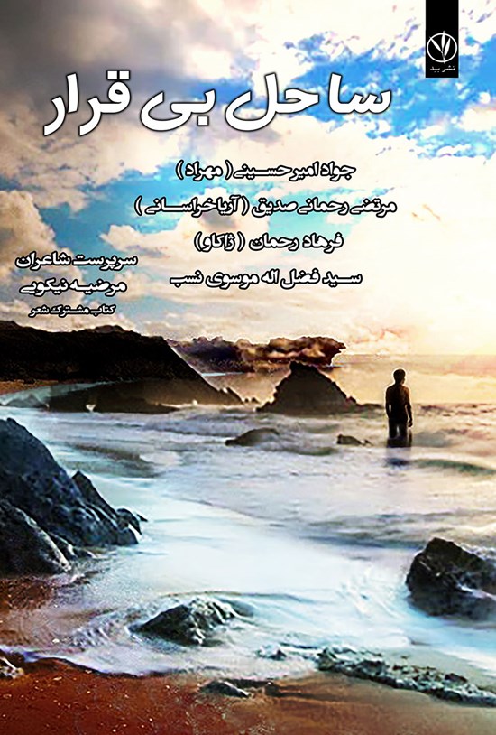 تصویر جلد کتاب ساحل بی قرار