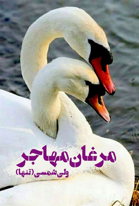 تصویر جلد کتاب مرغان مهاجر