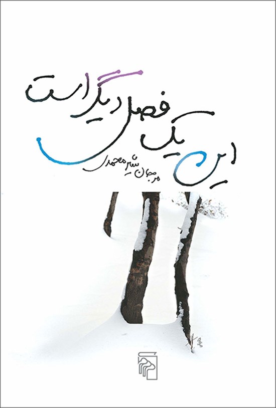 تصویر جلد کتاب این یک فصل دیگر است