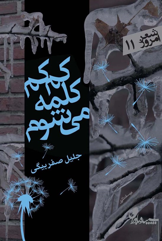 تصویر جلد کتاب کم کم کلمه می شوم