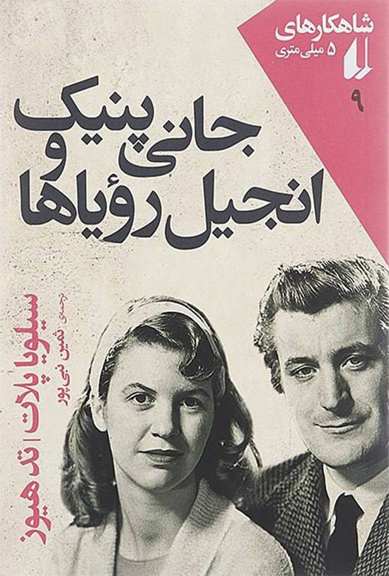 تصویر جلد کتاب جانی پنیک و انجیل رویاها