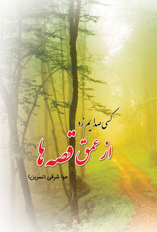 تصویر جلد کتاب کسی صدایم زد از عمق قصه ها