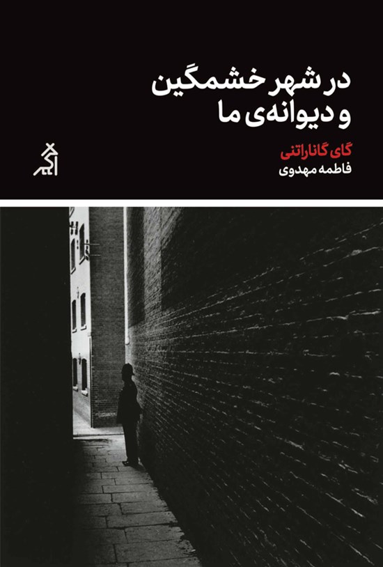 تصویر جلد کتاب در شهر خشمگین و دیوانه ما