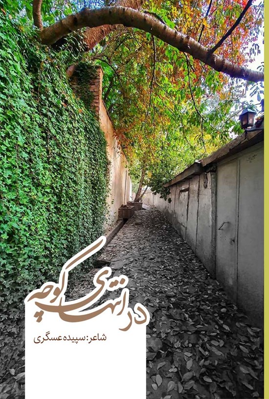 تصویر جلد کتاب در انتهای کوچه