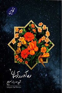 کتاب ره آورد آسمان (جلد دوم؛ متحابین) اثر سیدمحمدجواد وزیری فرد