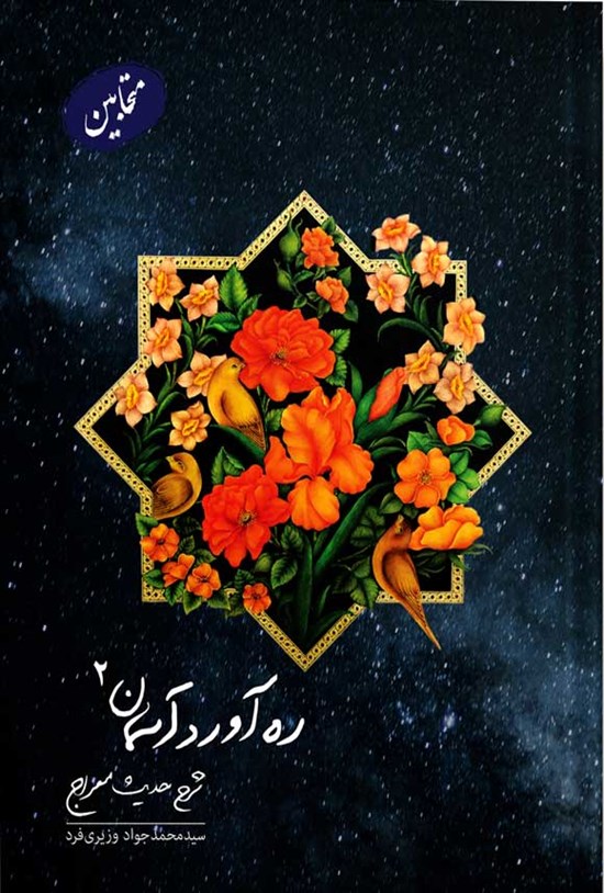 تصویر جلد کتاب ره آورد آسمان (جلد دوم؛ متحابین)