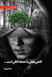 کتاب گاهی همان یک لحظه کافی است... اثر معصومه عیسی پره