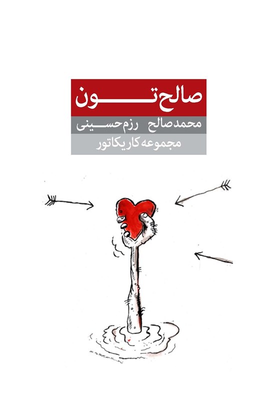 تصویر جلد کتاب صالحتون