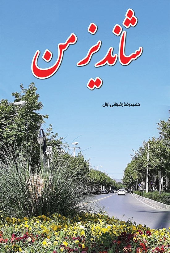 تصویر جلد کتاب شاندیز من