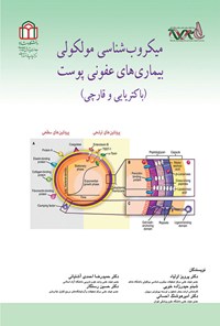 کتاب میکروب شناسی مولکولی بیماری های عفونی پوست اثر پرویز اولیاء