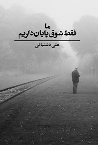 تصویر جلد کتاب ما فقط شوق پایان داریم