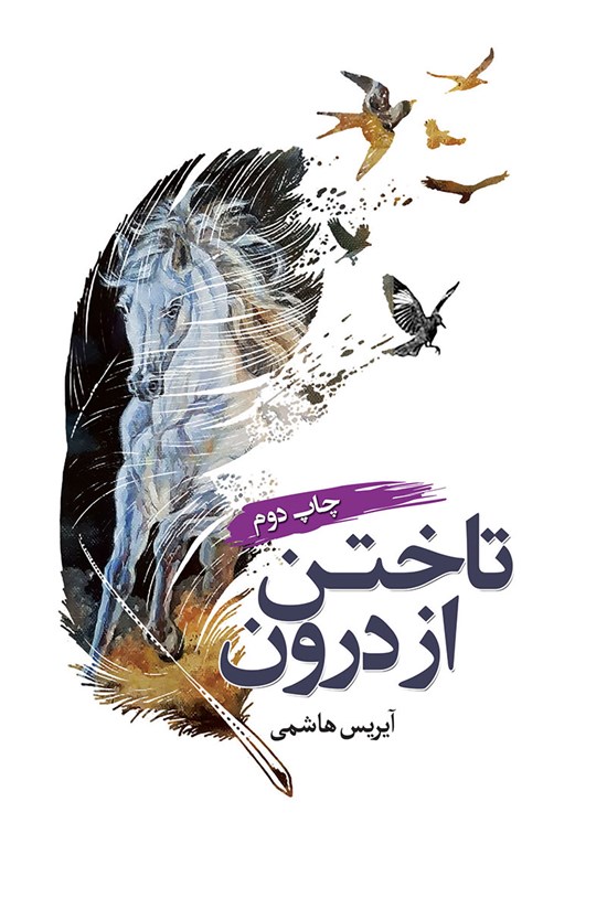 تصویر جلد کتاب تاختن از درون