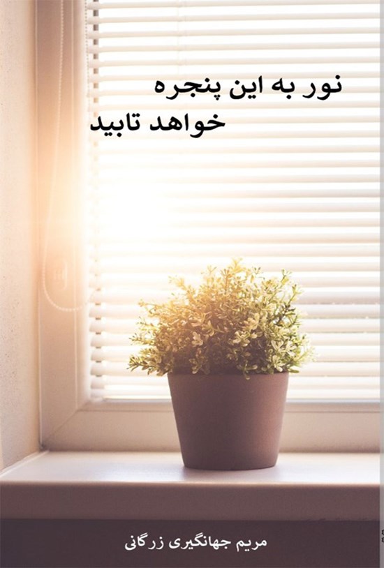 تصویر جلد کتاب نور به این پنجره خواهد تابید
