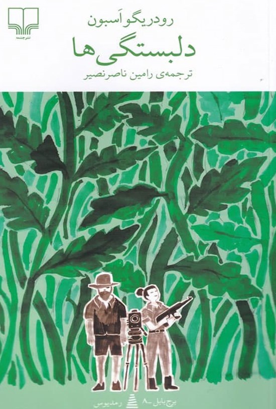 تصویر جلد کتاب دلبستگی ها