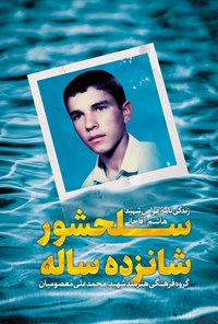 تصویر جلد کتاب سلحشور ۱۶ ساله