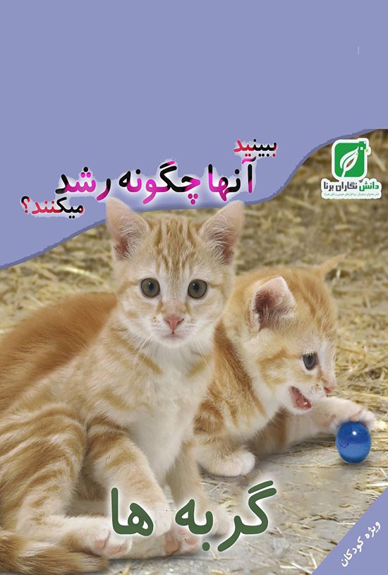 تصویر جلد کتاب ببینید گربه ها چگونه رشد میکنند؟