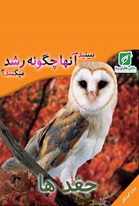 تصویر جلد کتاب ببینید جغدها چگونه رشد میکنند؟