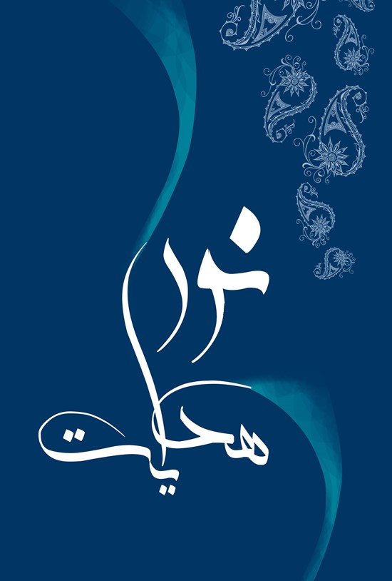 تصویر جلد کتاب نور هدایت