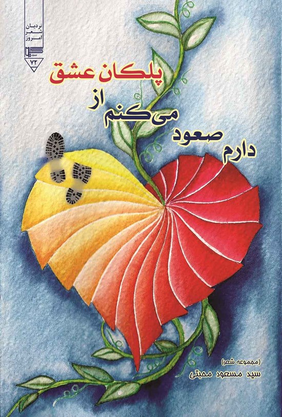 تصویر جلد کتاب دارم صعود می کنم از پلکان عشق