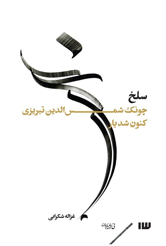 تصویر جلد کتاب سلخ