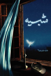 تصویر جلد کتاب شبیه