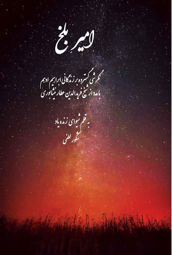 تصویر جلد کتاب امیر بلخ