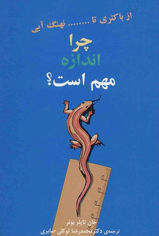 تصویر جلد کتاب چرا اندازه مهم است؟