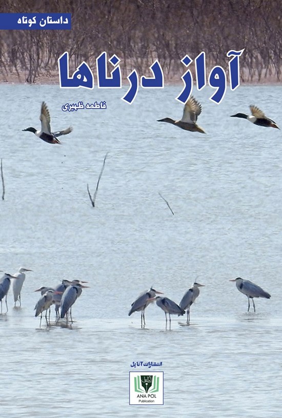 تصویر جلد کتاب آواز درناها