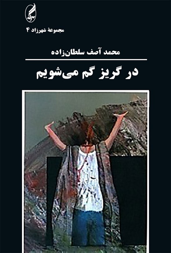 تصویر جلد کتاب در گریز گم می شویم