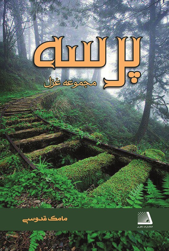 تصویر جلد کتاب پرسه