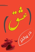 تصویر جلد کتاب عشق در پرانتز