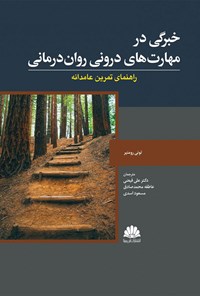 کتاب خبرگی در مهارت های درونی روان درمانی اثر تونی رومنیر