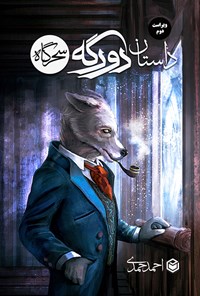 تصویر جلد کتاب داستان دو رگه سحرگاه
